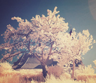 骚扰手机号呼叫软件